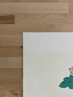 De Historia Stirpium, Basle, 1542 - Heinrich Fullmaurer 1971 Print Vintage New York Botanical Garden -Soldout Posters 0C19016C 2B34 46B0 8F73 C963439B15C3