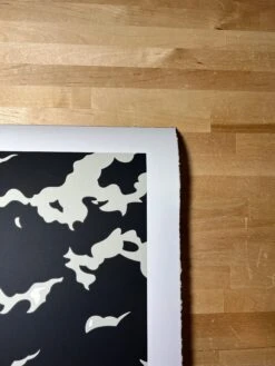 Fire In The Night (BLACK/WHITE) - 2025 Cleon Peterson Art Print -Soldout Posters 325487F4 39B8 4FDA 9E33 2DFC75E31E3D