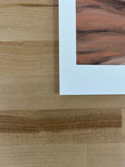 The Ocean Is A Forest - 2010 Kurt Halsey Poster Art Print -Soldout Posters 3EF31ED3 ADF2 4896 B0AA 78B186405D69