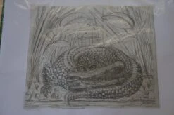 The Enormous Crocodile - 2015 Zeb Love Original Sketch Drawing -Soldout Posters DSC00571