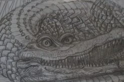 The Enormous Crocodile - 2015 Zeb Love Original Sketch Drawing -Soldout Posters DSC00572