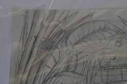 The Enormous Crocodile - 2015 Zeb Love Original Sketch Drawing -Soldout Posters DSC00573