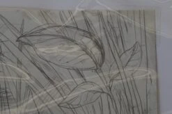 The Enormous Crocodile - 2015 Zeb Love Original Sketch Drawing -Soldout Posters DSC00574