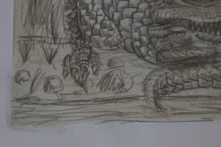 The Enormous Crocodile - 2015 Zeb Love Original Sketch Drawing -Soldout Posters DSC00576