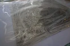 The Enormous Crocodile - 2015 Zeb Love Original Sketch Drawing -Soldout Posters DSC00577