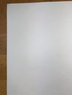 Long Deserved - 2008 Mike Budai Poster Art Print -Soldout Posters image 00431eaa 9327 44cd af69 dd09a4c1b81e