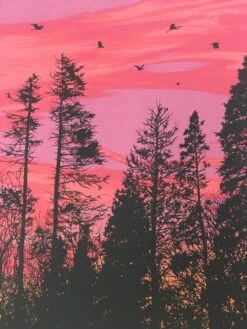 Big Birds Flying Across The Sky - 2011 Dan McCarthy Poster Art Print -Soldout Posters image 00b1c0b5 1a38 41b3 949f 8b26815a9ce8