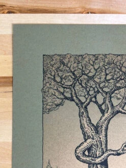 Witness Tree - 2022 David Welker Poster, Art Print (OLIVE) -Soldout Posters image 01c49562 211e 4a19 9720 8ee360c1113c