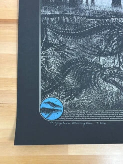 Megaptera Novaeangliae - 2014 Dan McCarthy Poster Art Print -Soldout Posters image 03bda9c5 45df 4b9b afe8 90e8c56e9603