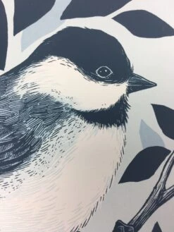 Black Capped Chickadee (Poecile Atricapillus) - 2015 Justin Santora Poster Art P -Soldout Posters image 07d8ab6a ee1f 4706 96cb 43473eaf05c2