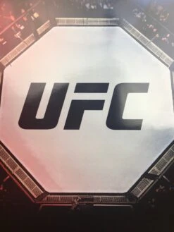 UFC 239, 240, 241 & 242 2019 Poster -Soldout Posters image 090595be 5ced 47a8 b6c6 ed44390bda82