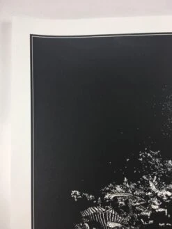 The Darkness - 2011 Dan McCarthy Poster Art Print 1st -Soldout Posters image 0ea9a6c7 3ed6 4048 abeb 5108fec5423b