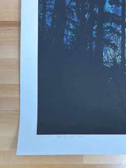 A Night In The Forest - 2010 Dan McCarthy Poster Art Print -Soldout Posters image 0eb8e897 6cdf 46b5 941e 540e2b686b40