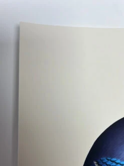 Fat Bird - 2022 Mike Mitchell Poster Blue Jay II -Soldout Posters image 10bcb5bb 2019 49e9 96a7 a88876f63b2a