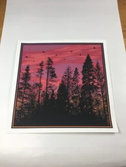 Big Birds Flying Across The Sky - 2011 Dan McCarthy Poster Art Print -Soldout Posters image 11416179 41d9 4ea9 a9f9 a4f5b7581213