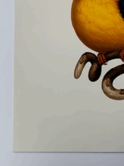 Fat Bird - 2020 Mike Mitchell Poster Rufous-Backed Dwarf Kingfisher 1st -Soldout Posters image 1384fe2e 4772 404d afd8 bd8309e58db6