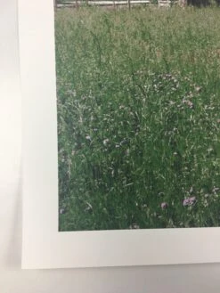 Open City - 2011 Dan MacAdam Crosshair Poster Art Print -Soldout Posters image 15682892 3e2a 46b7 bb70 2f81e03e691f