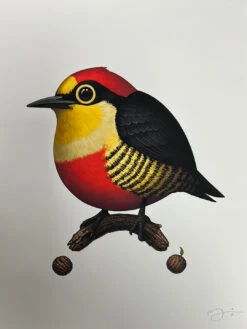 Fat Bird - 2020 Mike Mitchell Poster Yellow Fronted Woodpecker AP