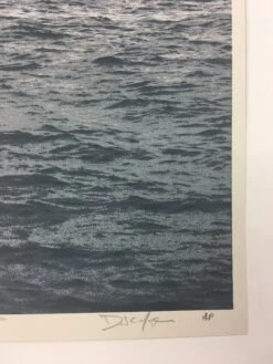 Cranes - 2011 Dan MacAdam Crosshair Poster Art Print -Soldout Posters image 1cf2a76f 3345 4820 a049 d90c34599517