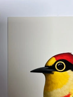 Fat Bird - 2020 Mike Mitchell Poster Yellow Fronted Woodpecker AP -Soldout Posters image 1ed29184 173d 41de 932e 1101604b4303