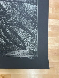 Megaptera Novaeangliae - 2014 Dan McCarthy Poster Art Print -Soldout Posters image 20146456 2f49 45aa b00d 33d828550160