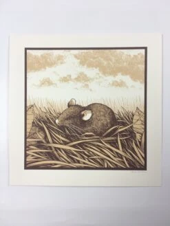 Brown Rat (Rattus Norvegicus) - 2015 Justin Santora Poster Art Print -Soldout Posters image 22268904 40cc 4949 91e2 b54e2428ab43