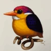 Fat Bird - 2020 Mike Mitchell Poster Rufous-Backed Dwarf Kingfisher 1st -Soldout Posters image 255ece53 8b87 4853 b864 91c45dfb07fd