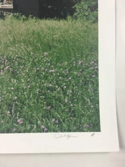 Open City - 2011 Dan MacAdam Crosshair Poster Art Print -Soldout Posters image 2db66aed 847e 4192 8414 834482e7fce8