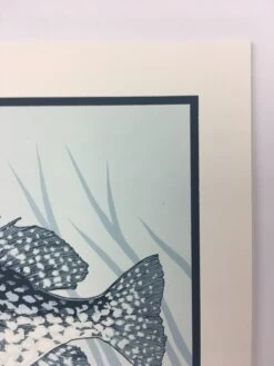 Black Crappie (Pomoxis Nigromaculatus) - 2015 Justin Santora Poster Art Print -Soldout Posters image 33ab2069 5c7e 4f6e a2cd f02a359fabbf