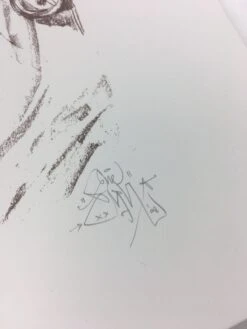 Super Season - 2008 Elph Poster Art Print POW -Soldout Posters image 3402feed e37c 4b78 8fb5 8bab4c6e97cf