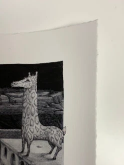 Freda And The Hidden City - 2021 David Welker Poster, Art Print -Soldout Posters image 419404da 519e 422e 8540 5a72a52924b3