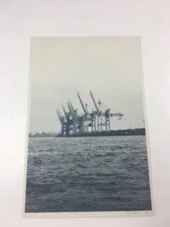 Cranes - 2011 Dan MacAdam Crosshair Poster Art Print -Soldout Posters image 43d37dc0 8b47 4f12 a97b 55179a3f9eba