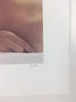 Untitled (Bear Boobs) - 2008 Mike Budai Poster Art Print -Soldout Posters image 44555bb4 fe72 4aae 8380 5a6cd3dd1868