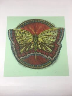 Wooden Resurrection Butterfly - 2013 Dan Grzeca Poster Art Print -Soldout Posters image 46293c5e 6305 4416 ae07 5c91c9ea7f6f