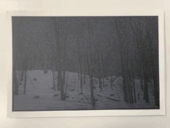 Guiding Light - 2010 Dan McCarthy Poster Art Print -Soldout Posters image 54b48fbc b644 45b7 8324 f3f8cf98707d