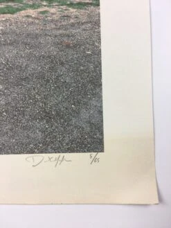 Do It Yourself - 2011 Dan MacAdam Crosshair Poster Art Print -Soldout Posters image 5fdbaff2 76c8 4441 b667 1c80e6248536