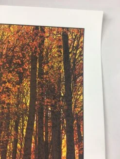 Elder Days - 2010 Dan McCarthy Poster Art Print -Soldout Posters image 60b95087 0744 43c2 9485 adb2d4960bb0