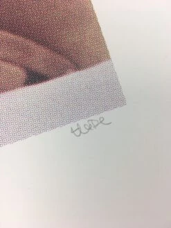 Untitled (Bear Boobs) - 2008 Mike Budai Poster Art Print -Soldout Posters image 616b0229 81e8 4c1d a9dc 041448f574f1