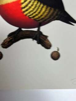 Fat Bird - 2020 Mike Mitchell Poster Yellow Fronted Woodpecker AP -Soldout Posters image 618c6566 feca 44c2 b794 3575f83df7ca