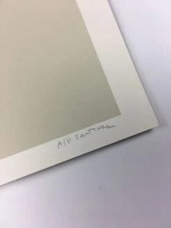 Paper Planes (Chicago Series) - 2013 Justin Santora Poster Art Print -Soldout Posters image 61ec9abc 40b0 40f8 9896 3f418012a148