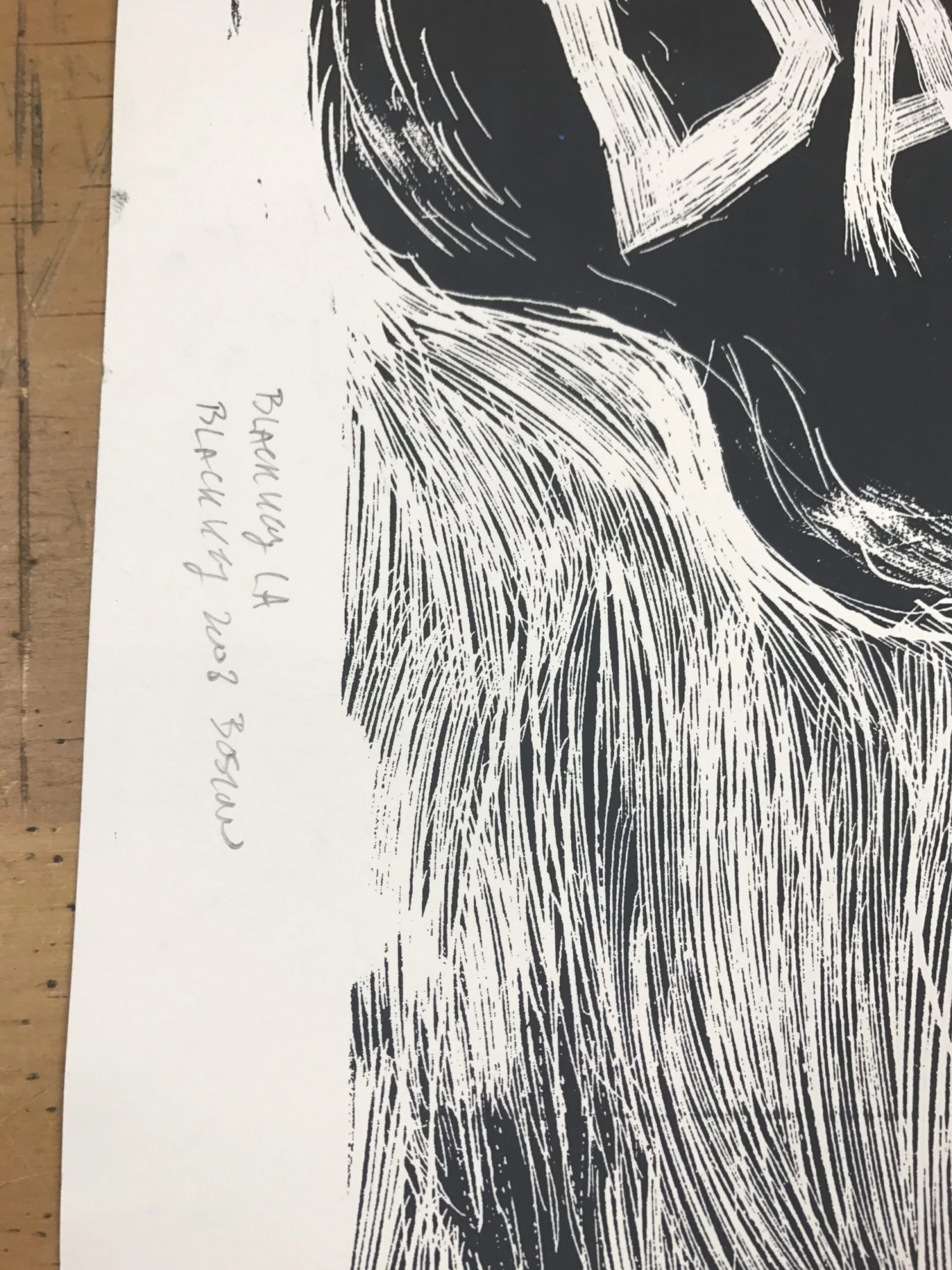 Phish - 2011 Dan Grzeca Poster Chicago, IL UIC TEST Print 12 Phish - 2011 Dan Grzeca Poster Chicago, IL UIC TEST Print - Image 10