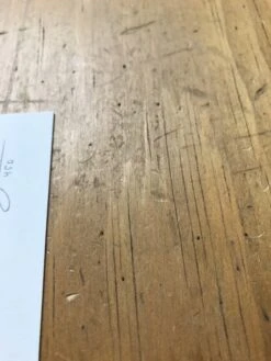 Fat Bird - 2017 Mike Mitchell Poster Himalayan Bulbul -Soldout Posters image 63a00520 0d67 48bd b5d9 a9daaa6ca021