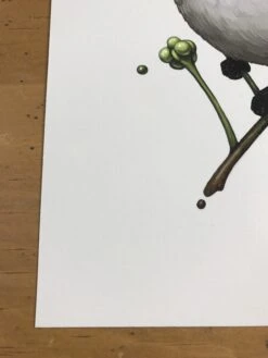 Fat Bird - 2017 Mike Mitchell Poster Himalayan Bulbul -Soldout Posters image 6b49a15e b057 40bc b305 033f299270a0