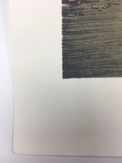 Youth - 2012 Justin Santora Poster Art Print -Soldout Posters image 6f7a49b4 18b4 46a8 947e 9e4509bd65cd