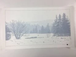 The Call Of The Wild - 2011 Dan McCarthy Poster Art Print -Soldout Posters image 7004a151 ef1f 4d70 a3df 27d4296d5789