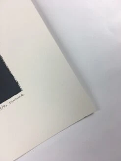 Summit - 2012 Justin Santora Poster Art Print -Soldout Posters image 70454262 f750 4b8e bf6f fe3a20153ae0