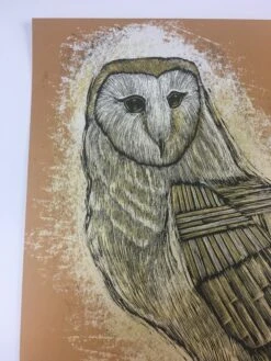 Reconstructed Barn Owl - 2013 Dan Grzeca Poster Art Print Burnt Orange -Soldout Posters image 7a18a3bd d6df 4621 87cf 0faa75c3a4ec