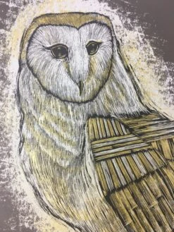 Reconstructed Barn Owl - 2013 Dan Grzeca Poster Art Print Charcoal Brown -Soldout Posters image 7d7e2a19 2015 4c0d a1de b5f7027f9d49