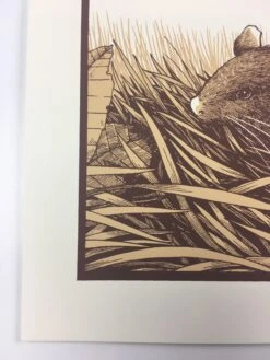 Brown Rat (Rattus Norvegicus) - 2015 Justin Santora Poster Art Print -Soldout Posters image 80124ff9 9f82 4ea7 99fc 1d6327b40af2