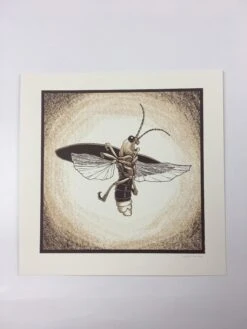 Common Firefly (Photinus Pyralis) - 2015 Justin Santora Poster Art Print -Soldout Posters image 82186df3 bd2c 40d4 ae49 765f2fdd825d